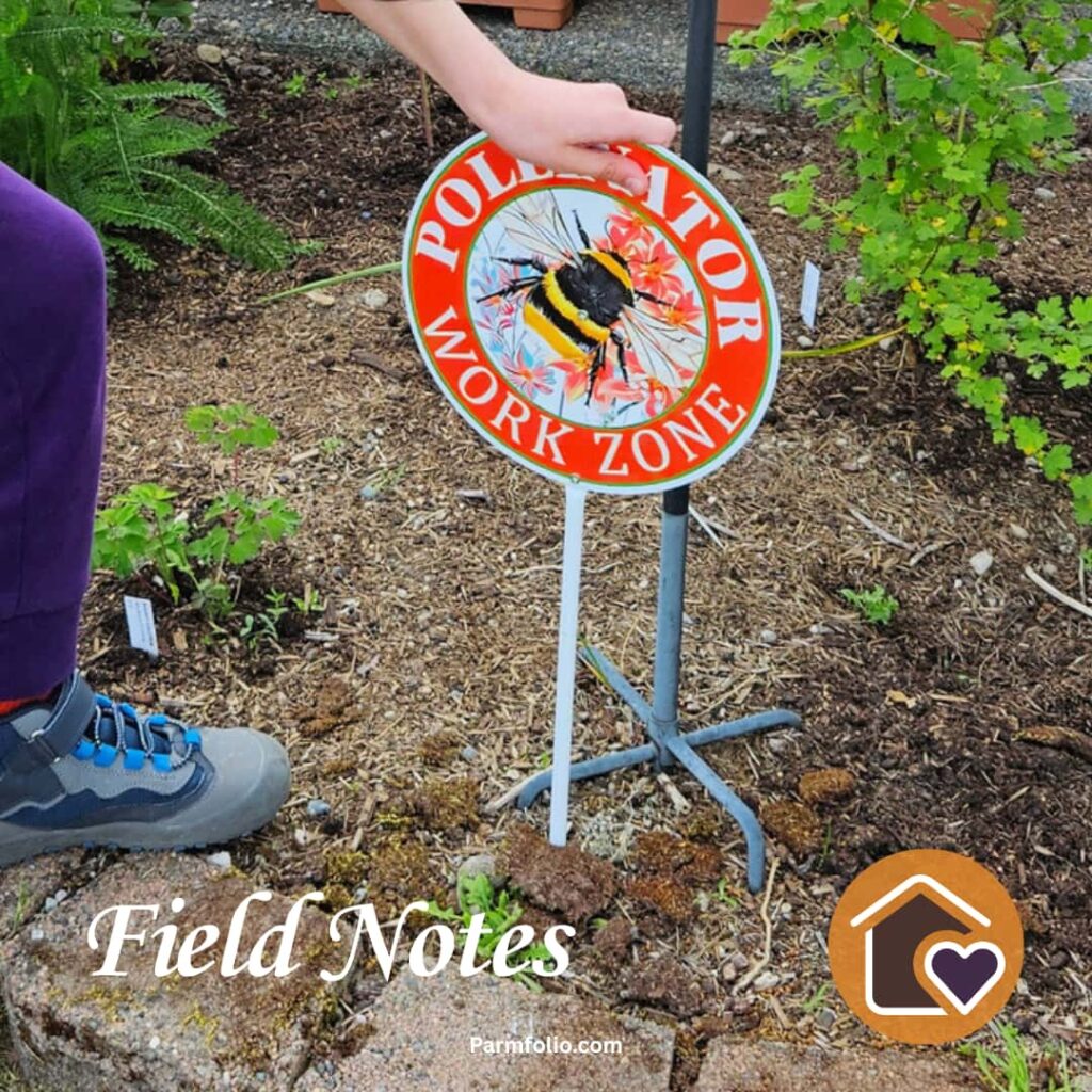 Child Placing Pollinator Garden Sign