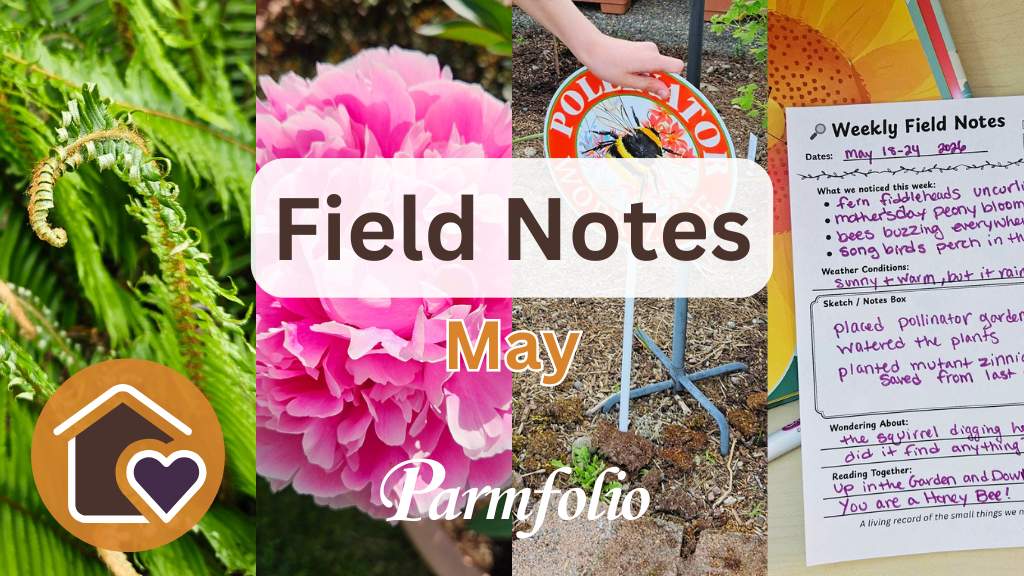 Field Notes May Featured Image