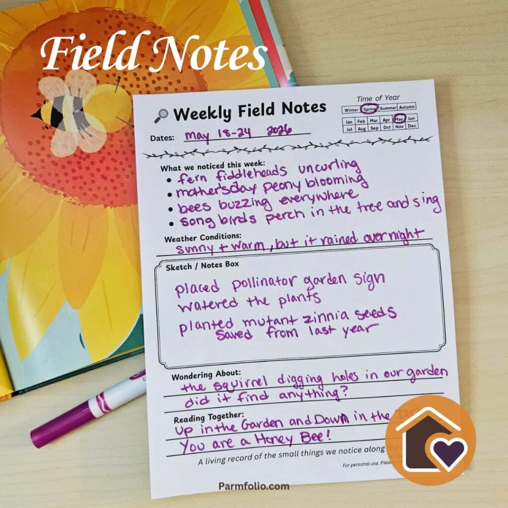May Homeschool Field Journal Notes with Bee Book