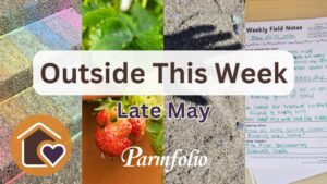 Outside This Week Late May Featured Image
