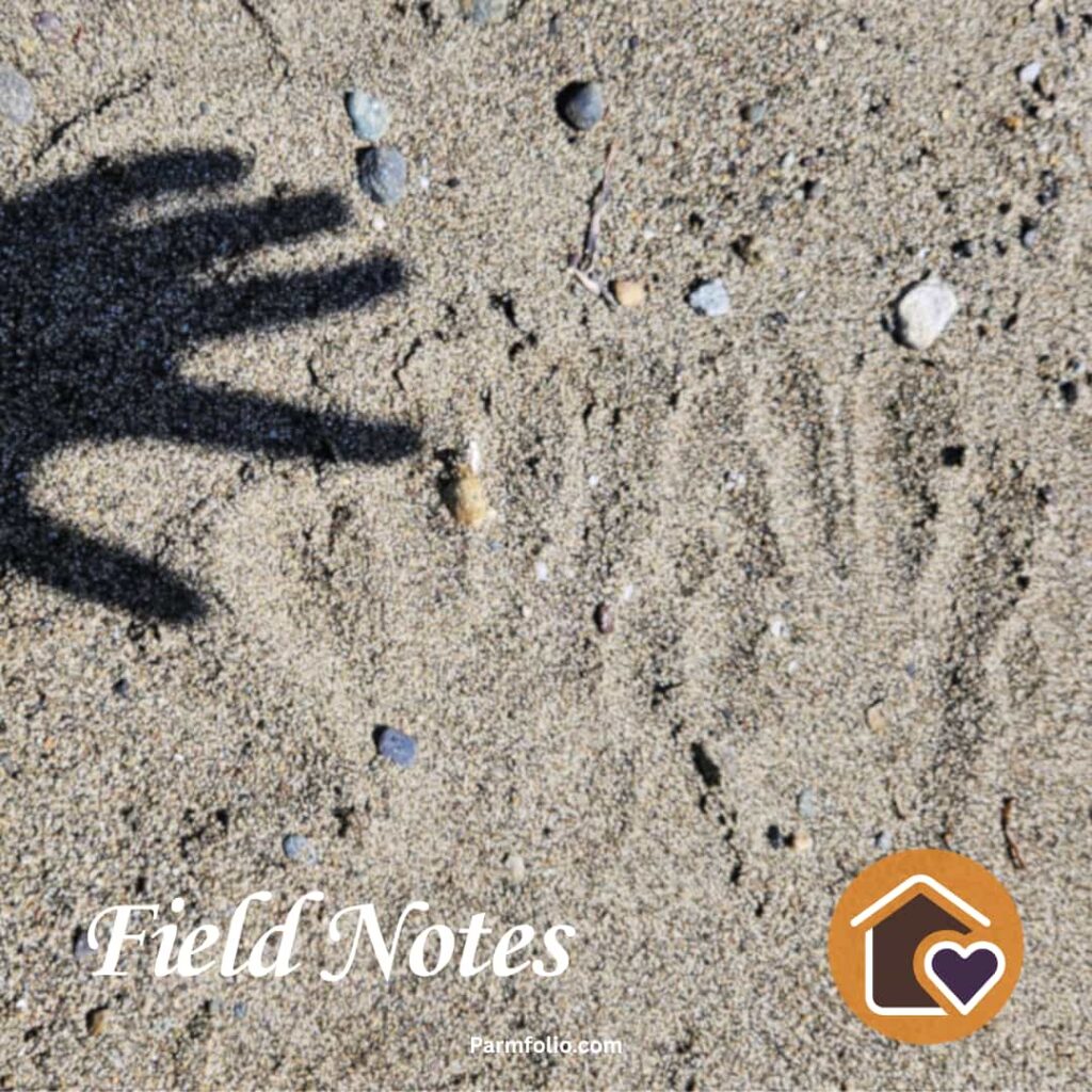 Sandy Beach with Hand Shadow and Handprint