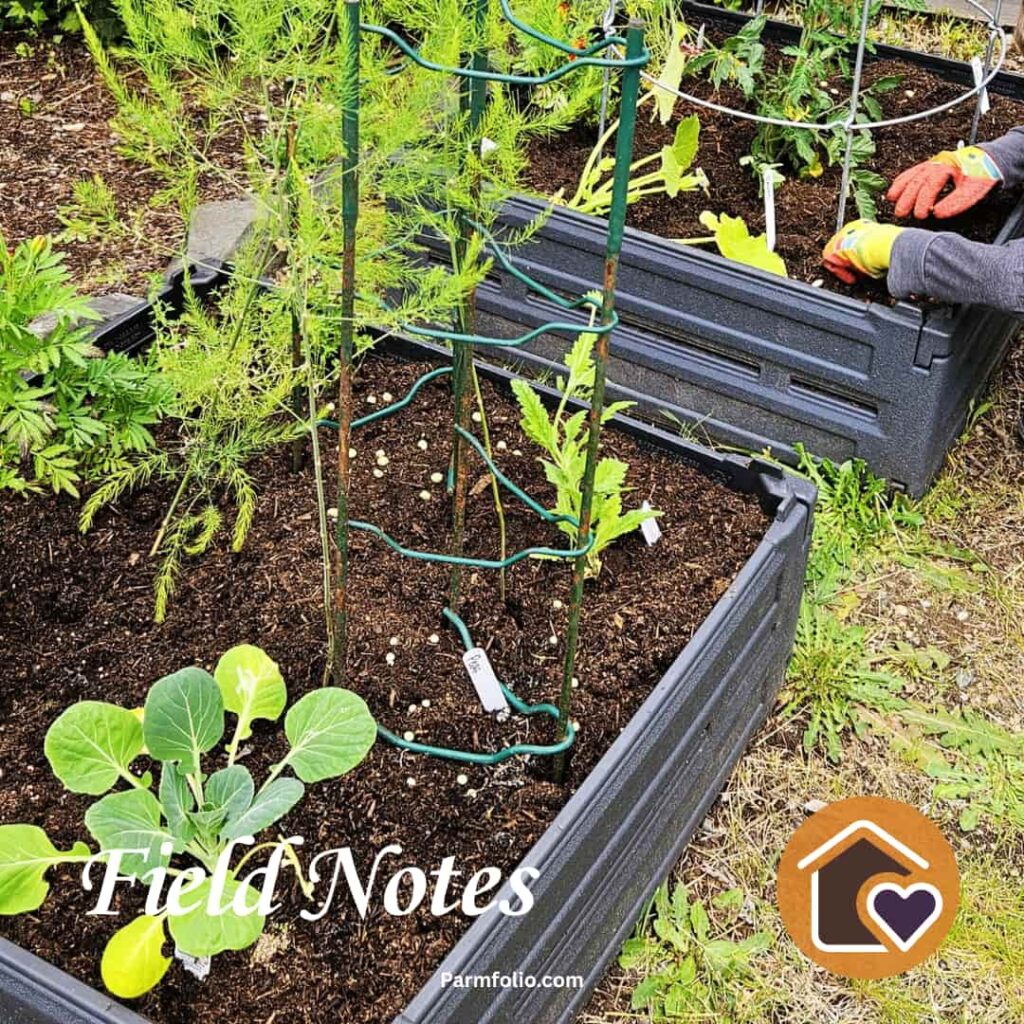 Child planting seeds in garden