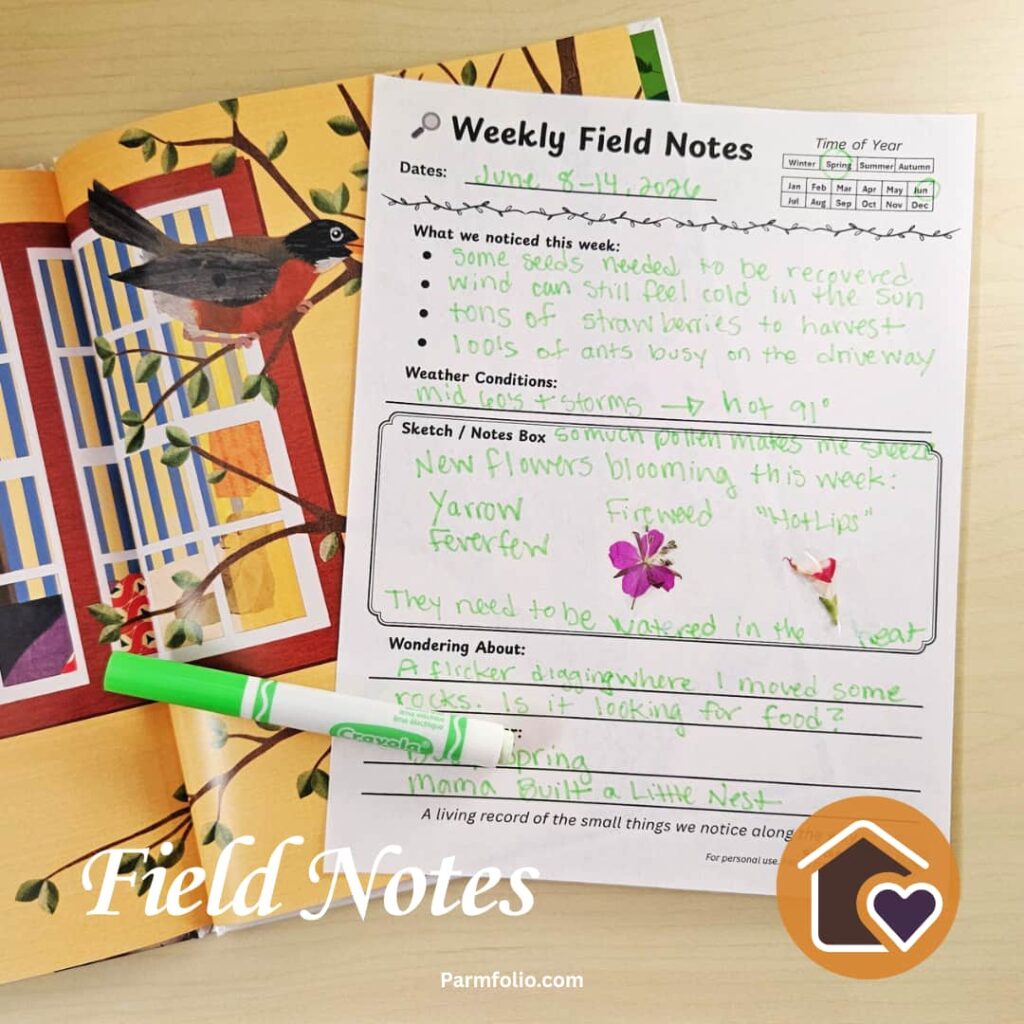 June Homeschool Field Journal Notes with Bird Book