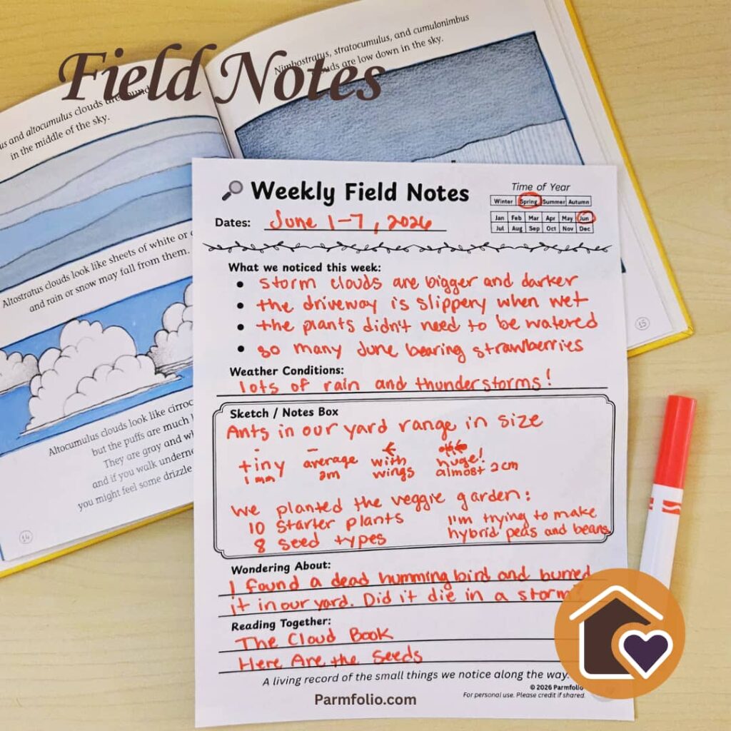 June Homeschool Field Journal Notes with Cloud Book