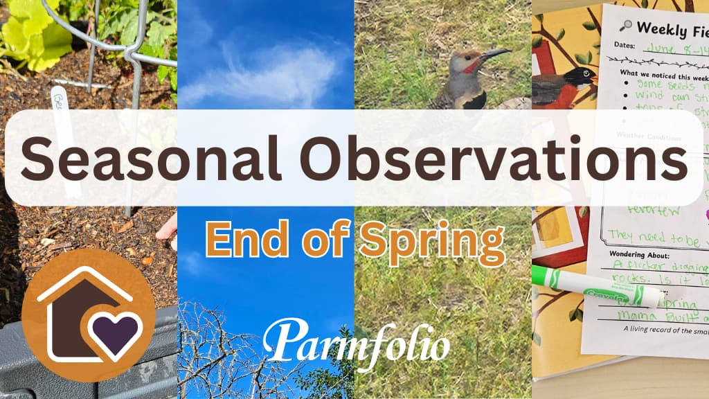 Seasonal Observations End of Spring Featured Image
