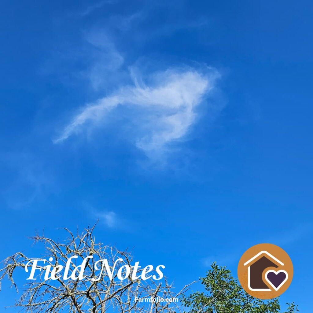 Wispy Cloud in a Blue Sky