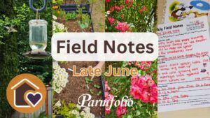 Field Notes Late June Featured Image