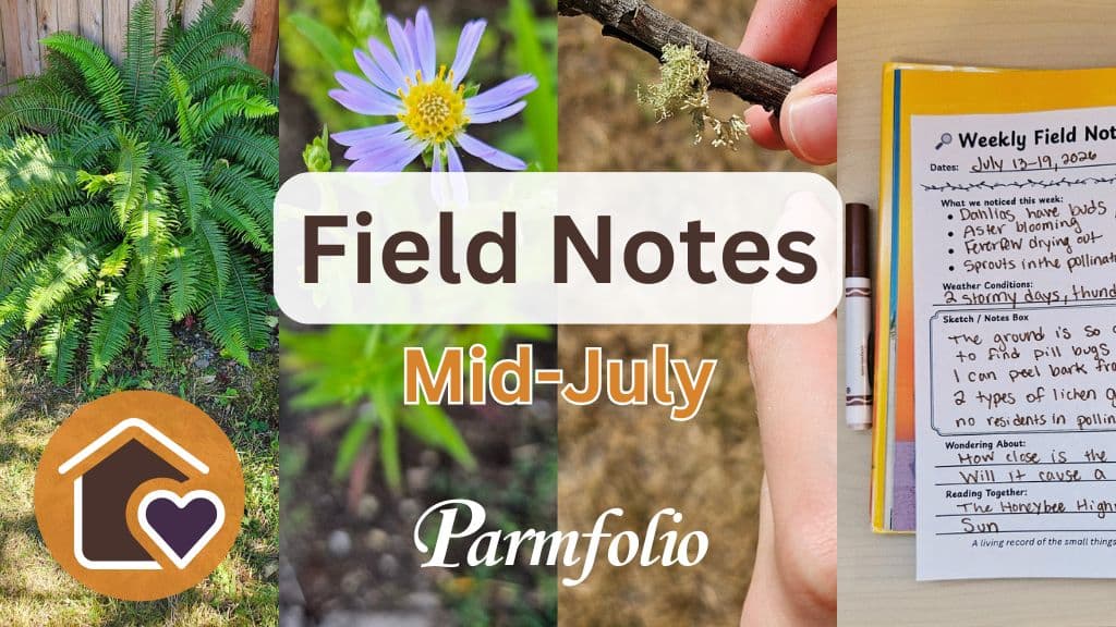 Field Notes Mid July Featured Image