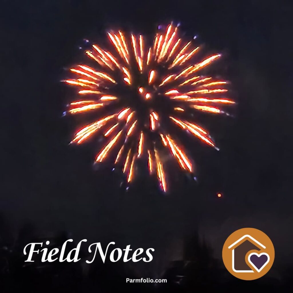 Fourth of July Fireworks
