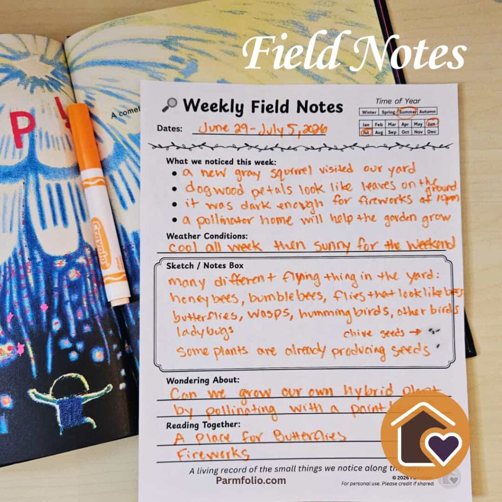 July Homeschool Field Journal Notes with Fireworks Book