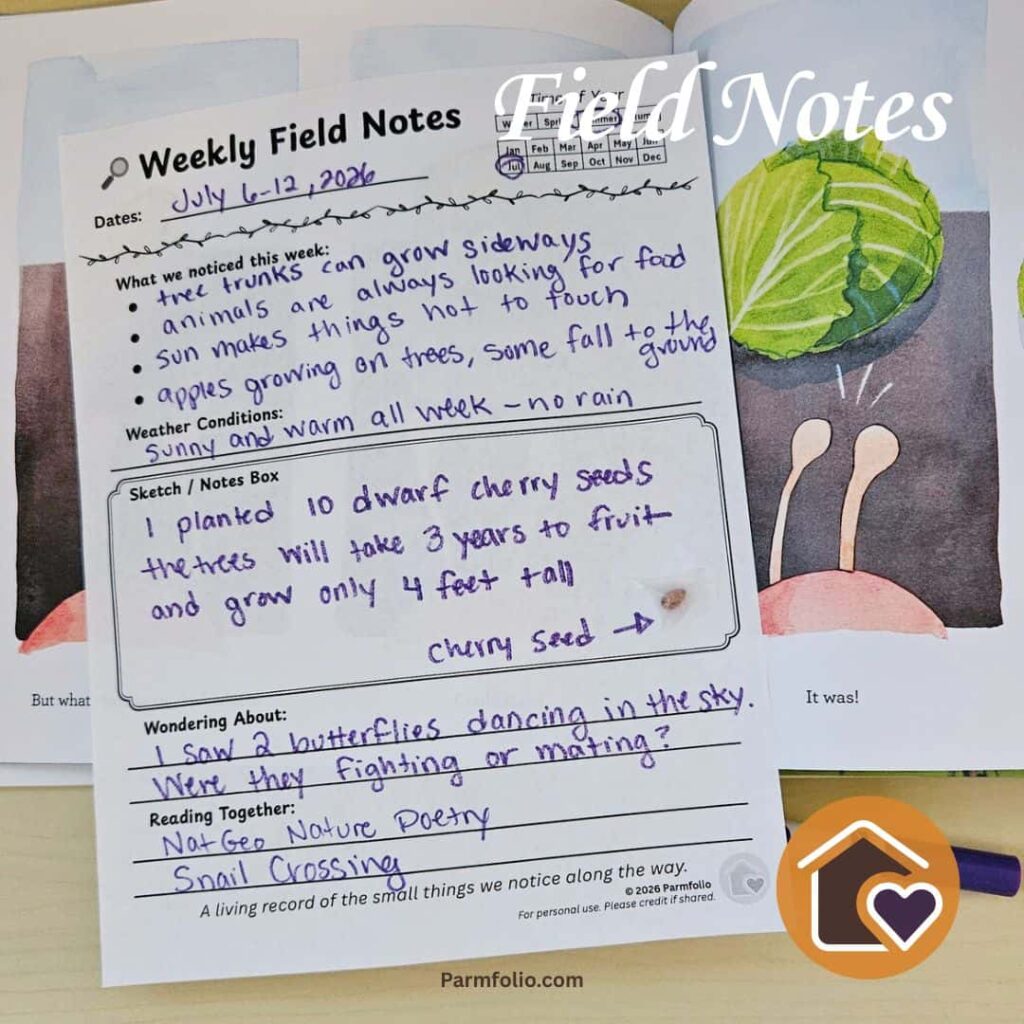 July Weekly field notes with Snail Book