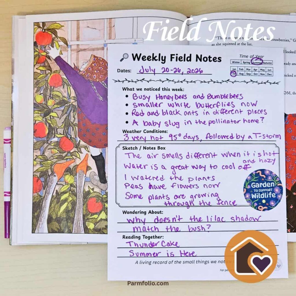 July Weekly field notes with Thunder Cake Book
