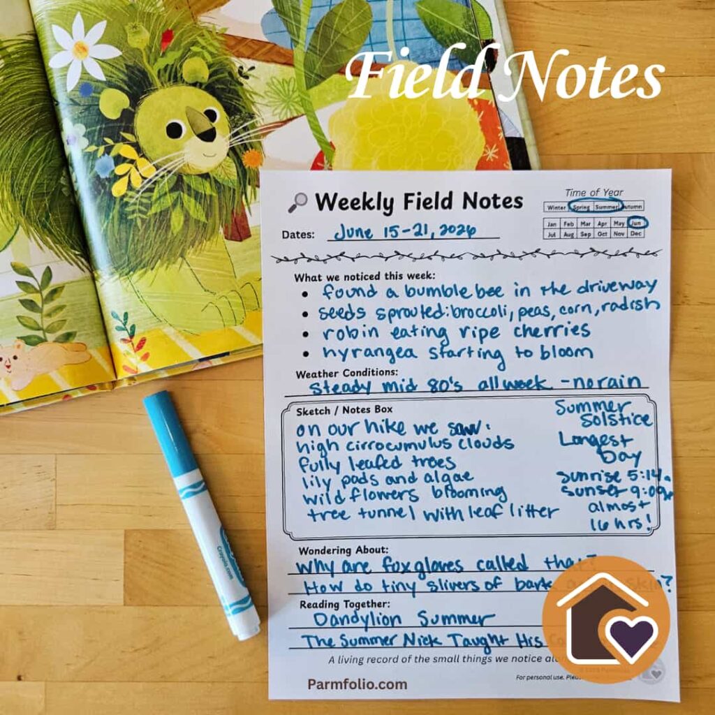 June Homeschool Field Journal Notes with Summer Book