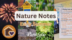 Nature Notes Early Summer Featured Image