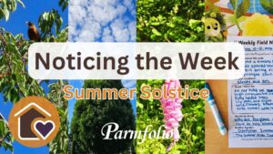 Noticing the Week Summer Solstice Featured Image