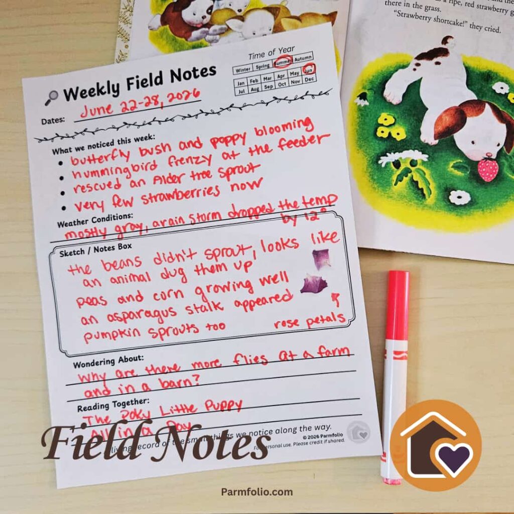 Weekly field notes Late June with Poky Puppy Book