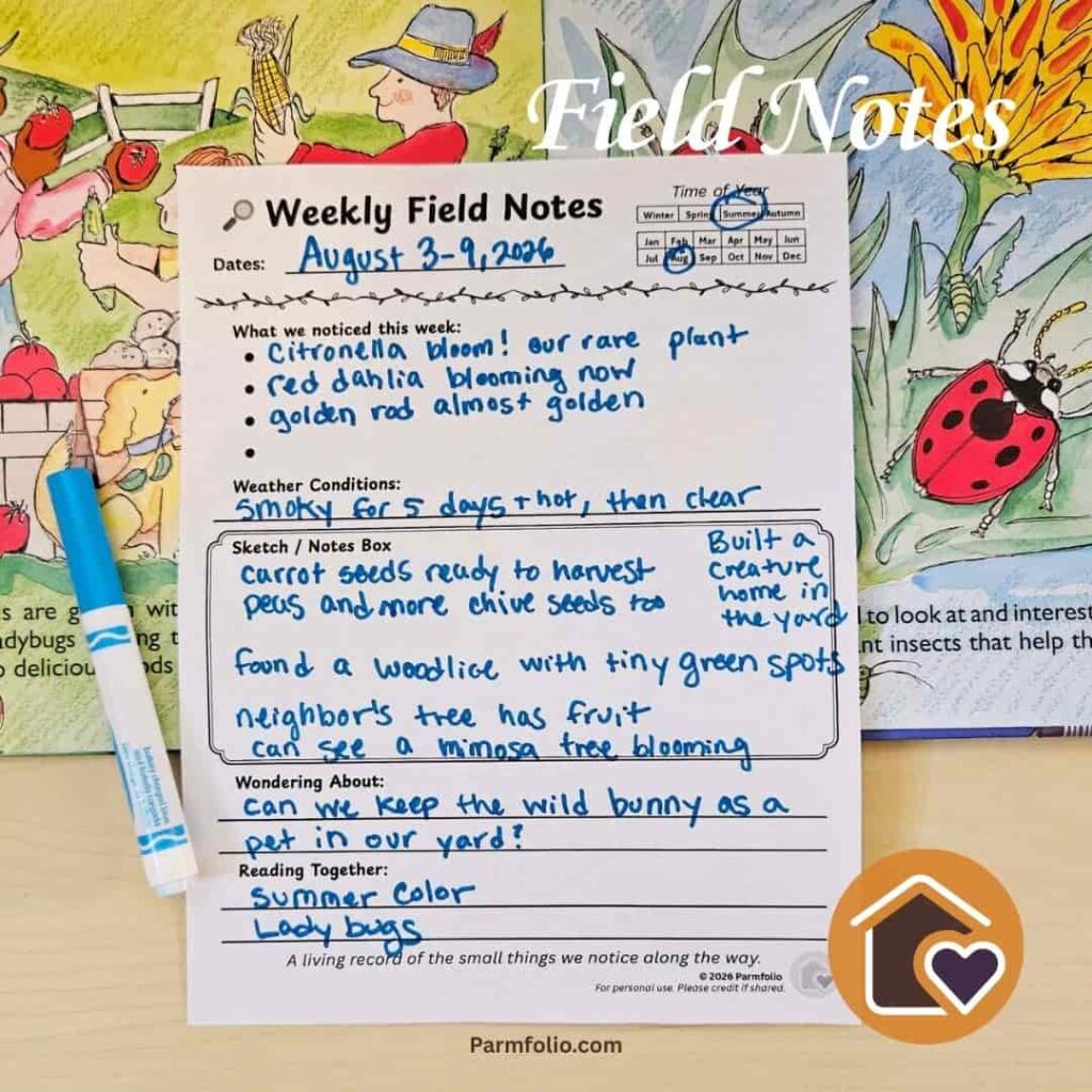 August Homeschool Field Journal Notes with Ladybug Book