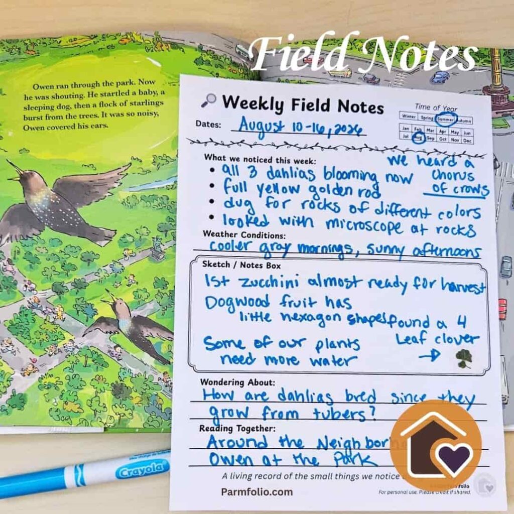 August Homeschool Field Journal Notes with Park Book