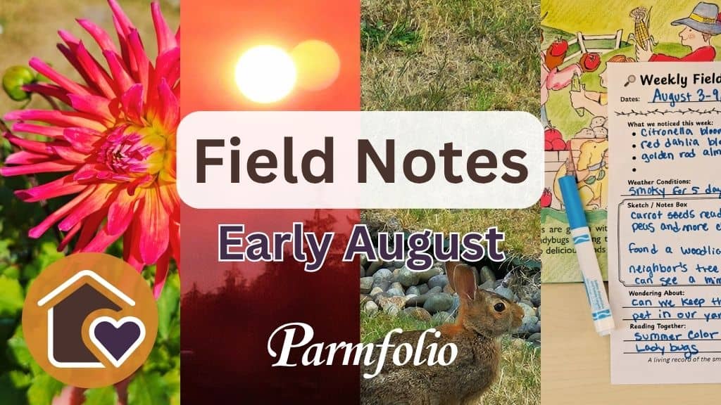 Field Notes Early August Featured Image