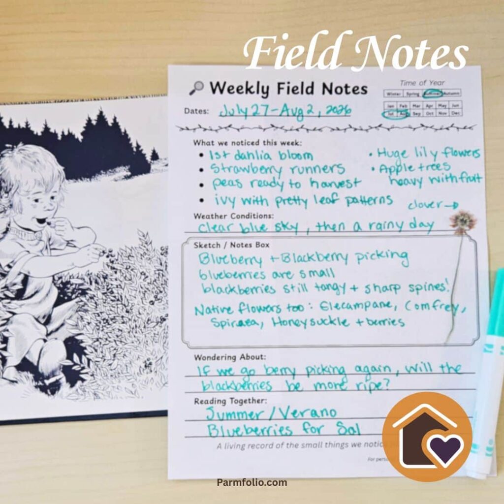 July Weekly field notes with Blueberries for Sal Book