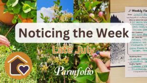 Noticing the Week Late July Featured Image