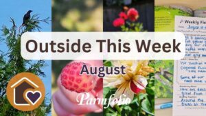 Outside This Week August Featured Image