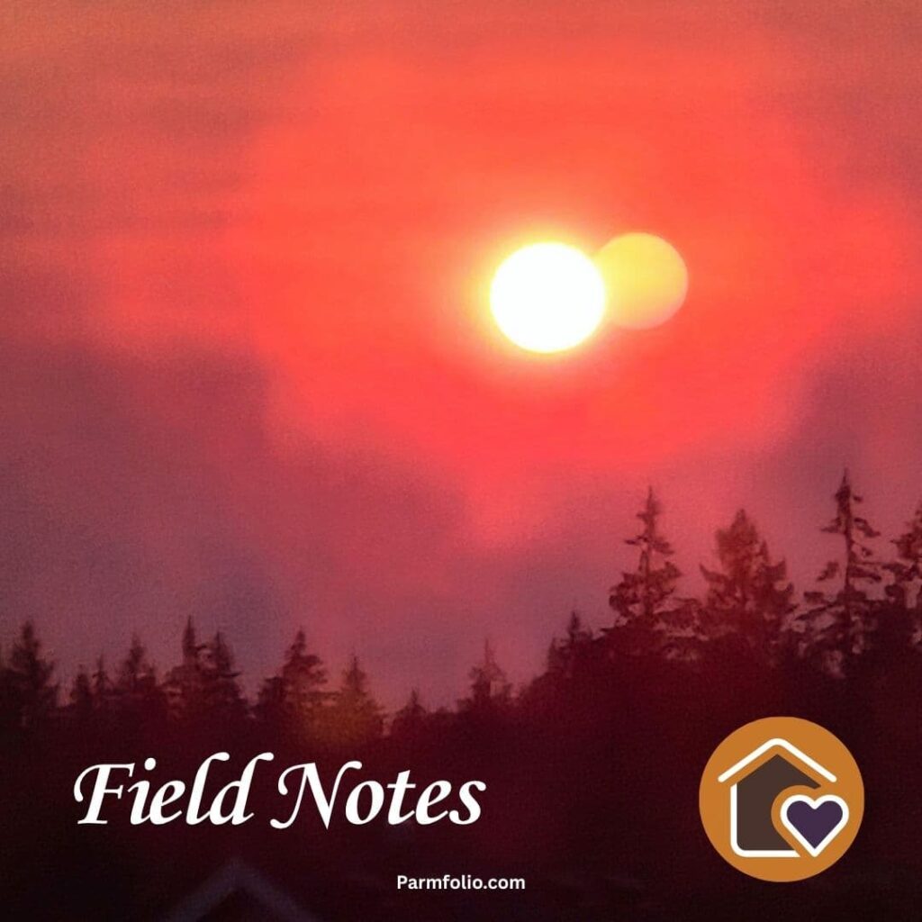 Red Sunrise in the Washington State with Wildfire Smoke
