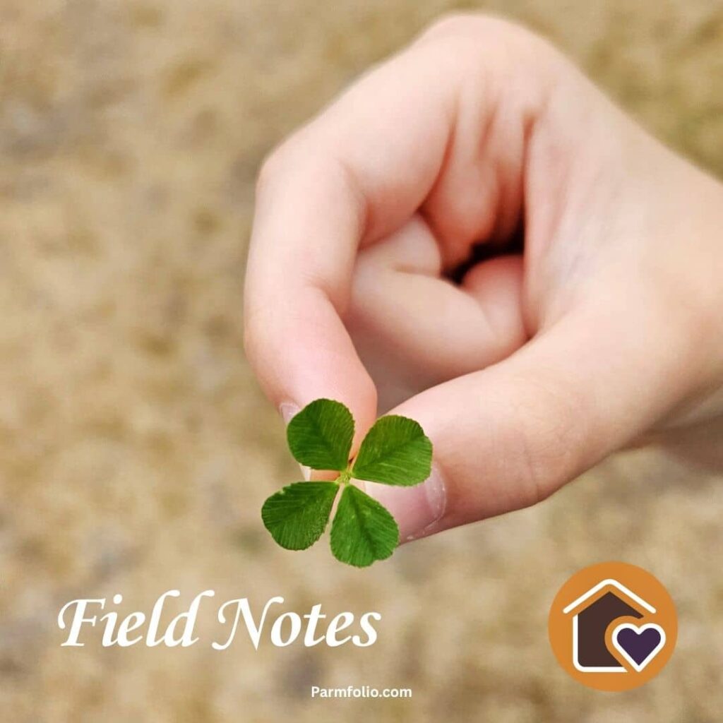 Child Holding Four Leaf Clover During Summer