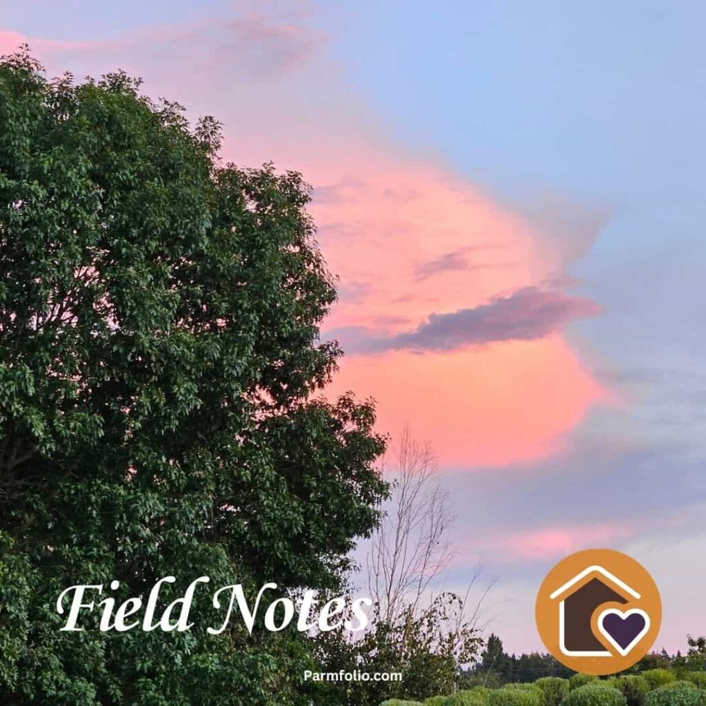 Evening Pink Clouds in September