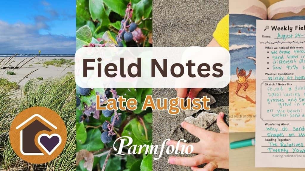 Field Notes Late August Featured Image