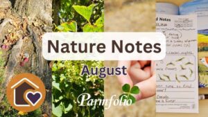 Nature Notes August Featured Image