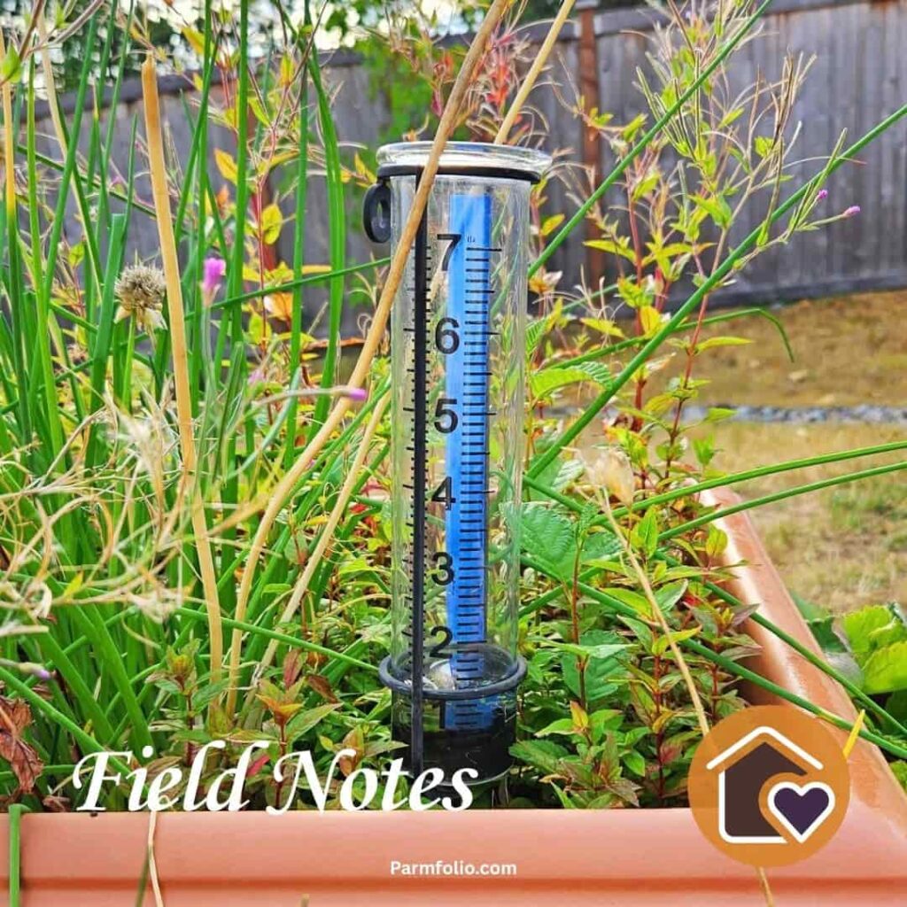 Rain Gauge in a Flower Pot after a Late Summer Storm