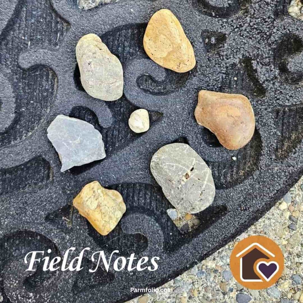 7 Rocks found in the backyard sitting on the doormat