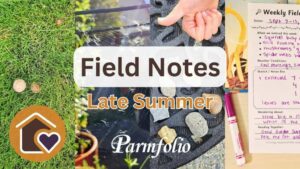 Field Notes Late Summer Featured Image