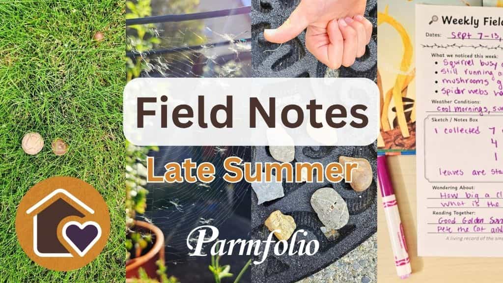 Field Notes Late Summer Featured Image