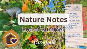 Nature Notes End of Summer Featured Image