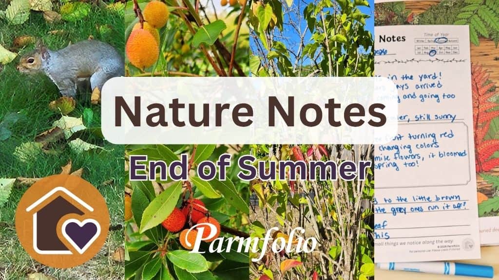 Nature Notes End of Summer Featured Image